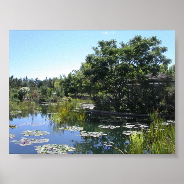 Póster Pestoso (Frente)