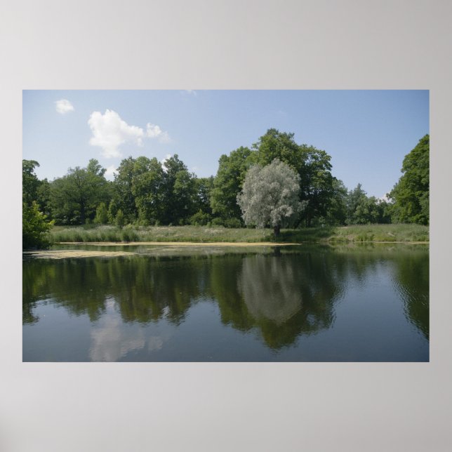 Póster Pestoso (Frente)