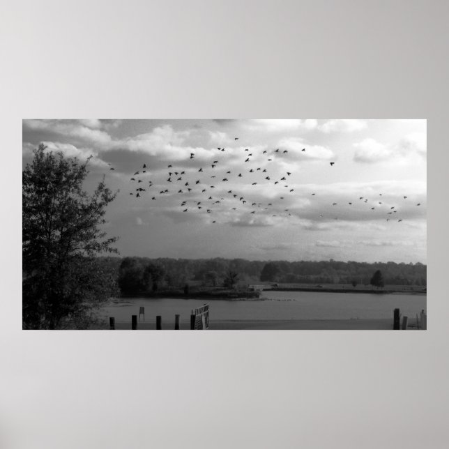 Póster Pestoso (Frente)