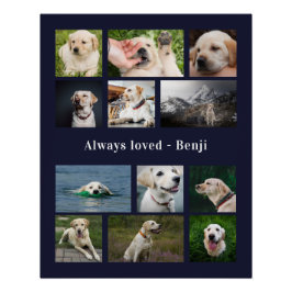 Póster Pet Lover Keepsake
