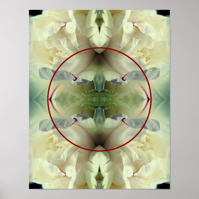 Póster Pétalos de Flor de Peonía Blanca Cree Su Propia Fo (Frente)
