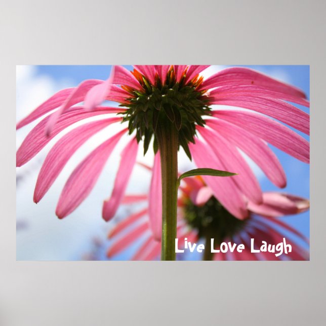 Póster Pétalos de rosa (Frente)