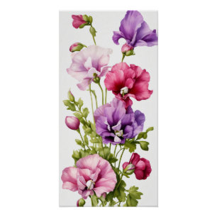 Póster Pétalos Pastel: Blossom estilizado de arveja dulce