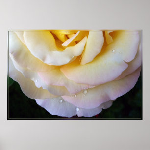 Póster Pétalos rosados amarillos