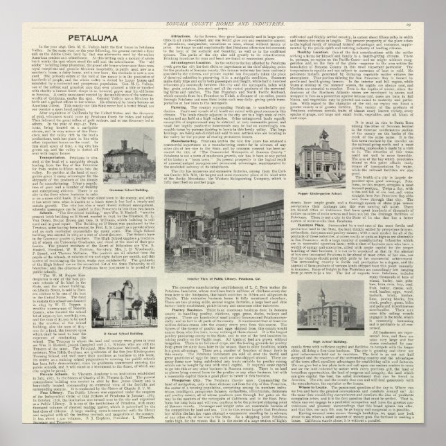 Póster Petaluma, California (Frente)