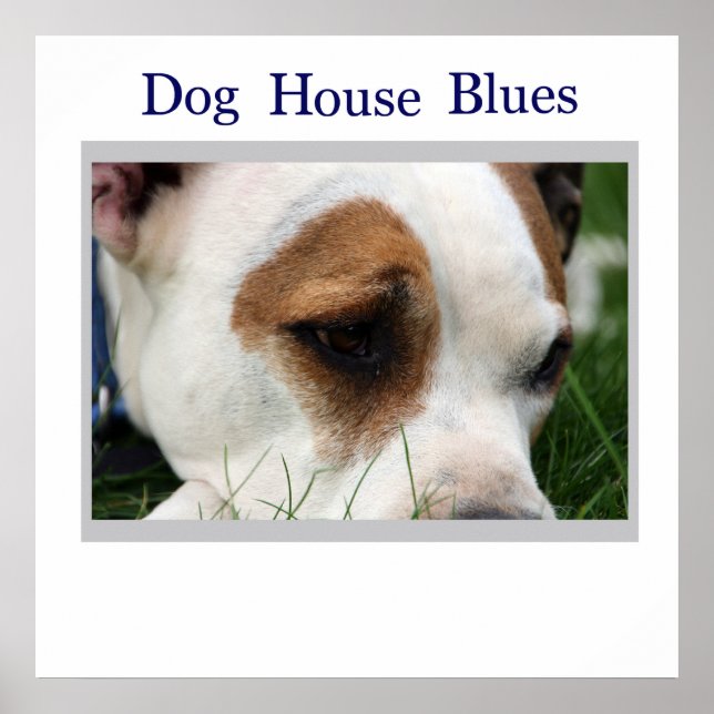 Póster Pete Pit1 (Frente)