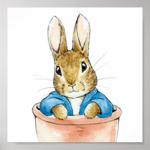 Póster Peter el conejo sentado en una maceta