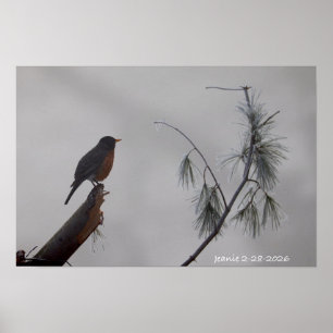 Póster Petirrojo en Invierno