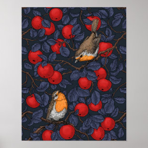 Póster Petirrojos en el manzano/azul y rojo 