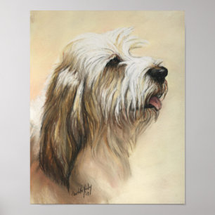 Póster Petit Basset Griffon Vendeen Dog Art Print