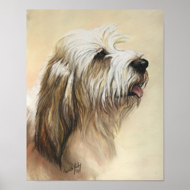 Póster Petit Basset Griffon Vendeen Dog Art Print (Frente)