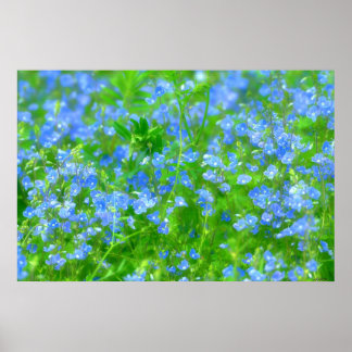 PÓSTER PETITES FLEURS BLEUES