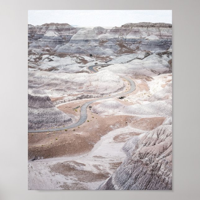 Póster Petrified Forest, Desolate Landscape Photo Poster (Frente)