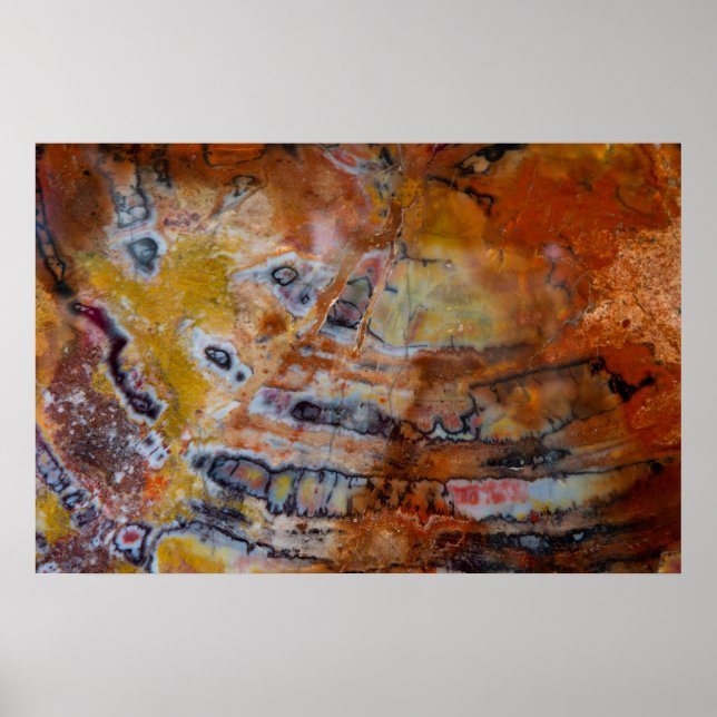 Póster Petrified Wood Brown (Frente)