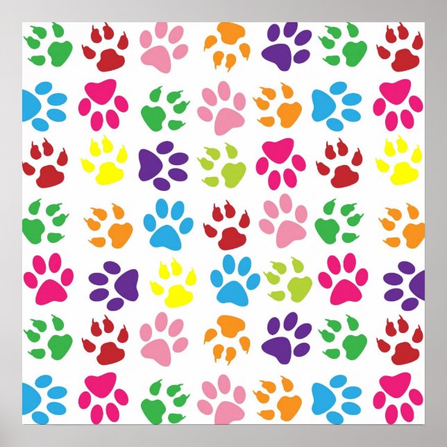 Póster Pets paw print pattern (Frente)