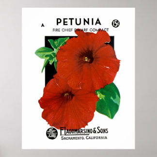 Póster Petunia