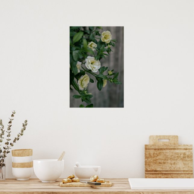 Póster Petunias Amarillas Vintage (Cocina)