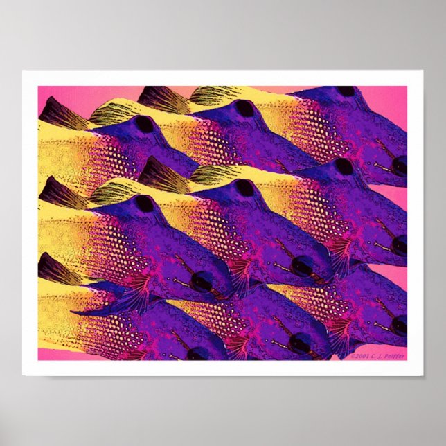 Póster 'Pez 6.2' (Frente)