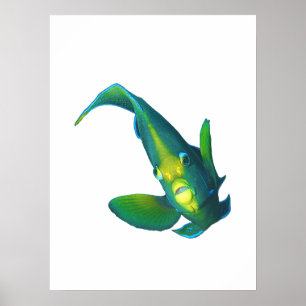 Póster Pez ángel - Diseño abstracto - Recortado de una fo