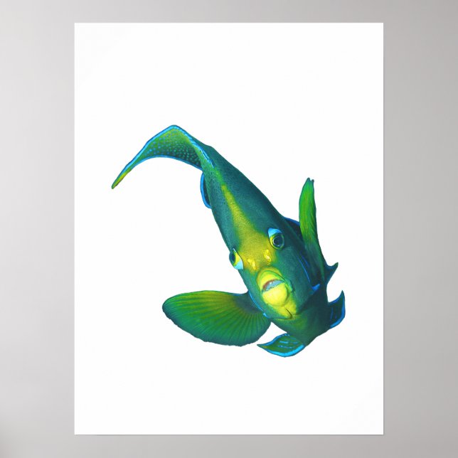 Póster Pez ángel - Diseño abstracto - Recortado de una fo (Frente)