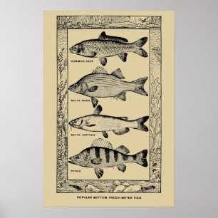 Póster Pez de agua dulce vintage popular de Louis Rhead