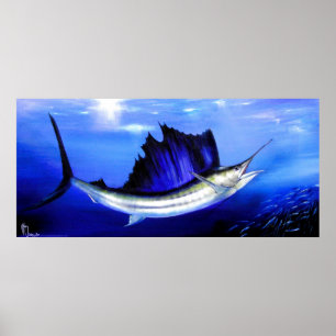 Póster Pez de vela "Trate de carretes"