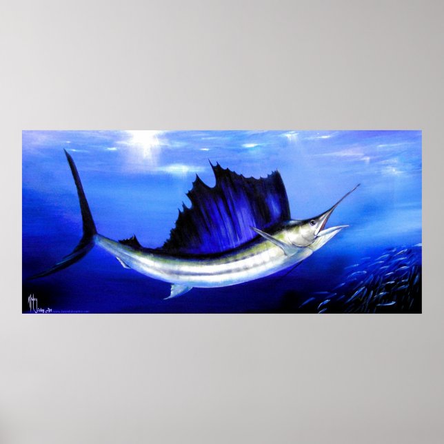 Póster Pez de vela "Trate de carretes" (Frente)