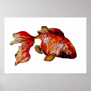 Póster Pez dorado rojo