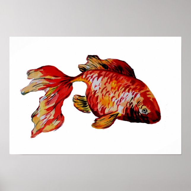 Póster Pez dorado rojo (Frente)