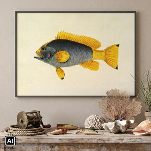 Póster Pez Grouper Azul y Amarillo Vintage, Vida Marina