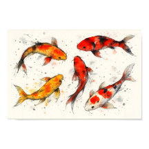 Pez Koi