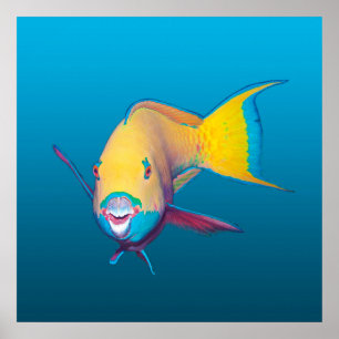 Póster ¡Pez loro en primer plano! Fondo azul degradado   