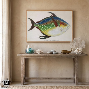 Póster Pez Opah Tropical Antiguo, Animal Acuático Marino