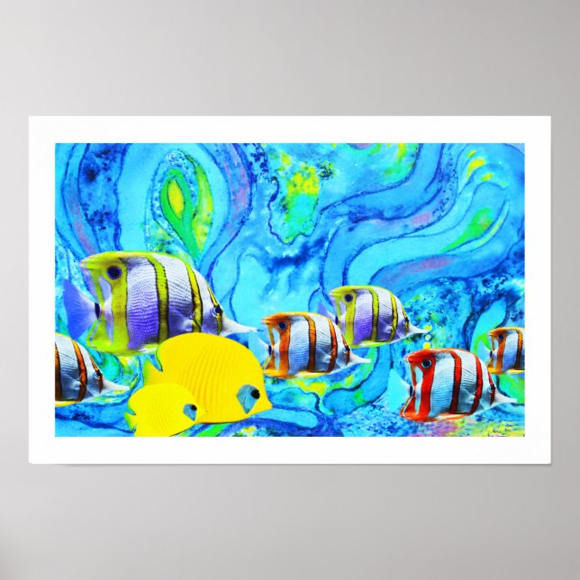 Póster Pez tropical (Frente)