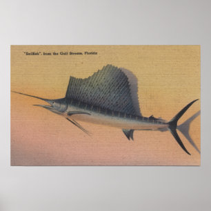 Póster Pez volador del Gulf Stream, FloridaFlorida