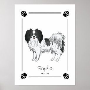 Póster Phalène Con Patas Negras Y Nombre De Perro Persona