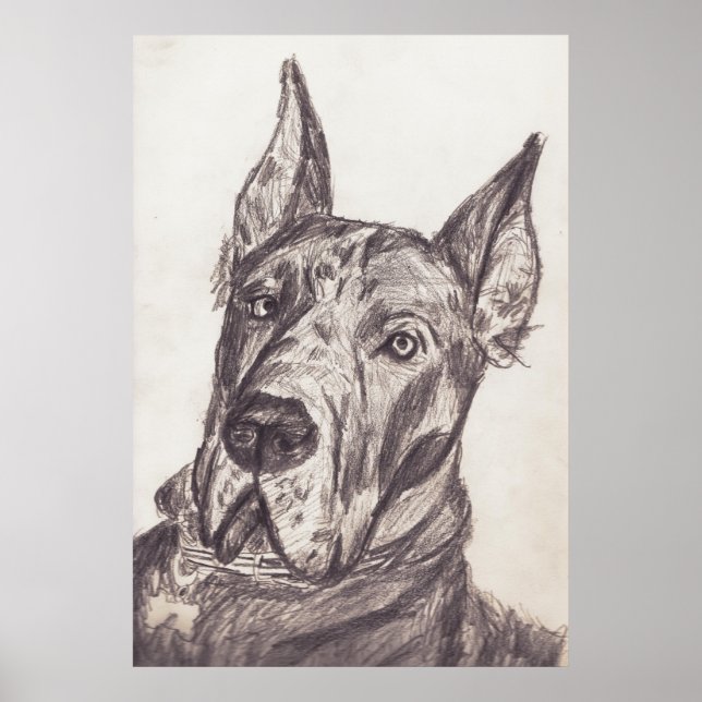 Póster pharoah sk3 str (Frente)