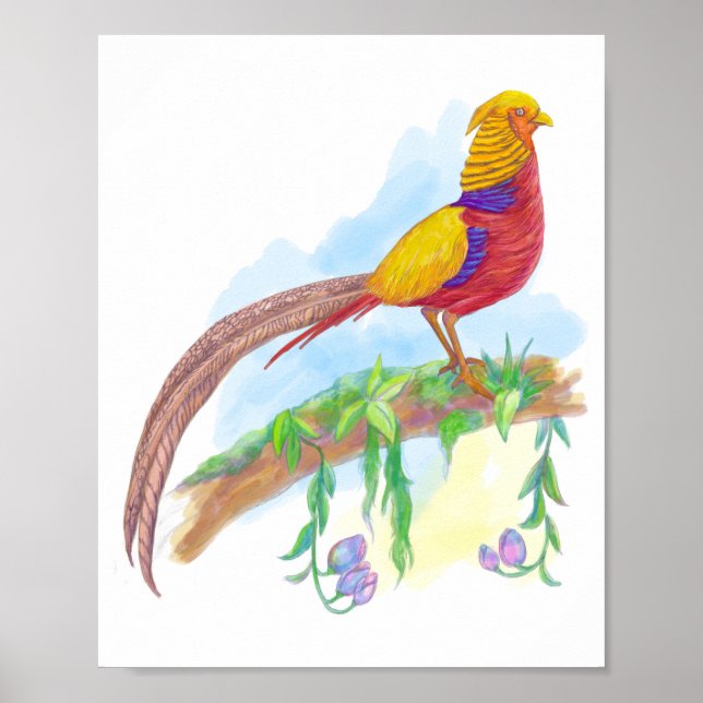 Póster Pheasant Dorado (Frente)