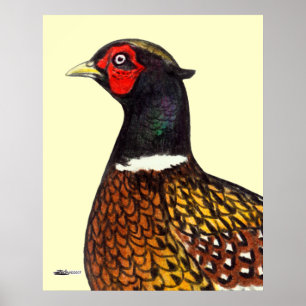 Póster Pheasant Head Ringneck