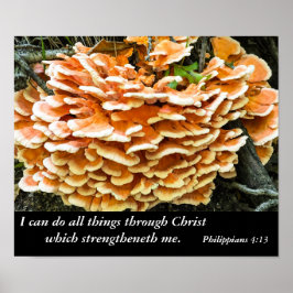 Póster Philippians 4:13 Bible Verse Poster