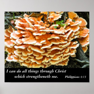 Póster Philippians 4:13 Bible Verse Poster