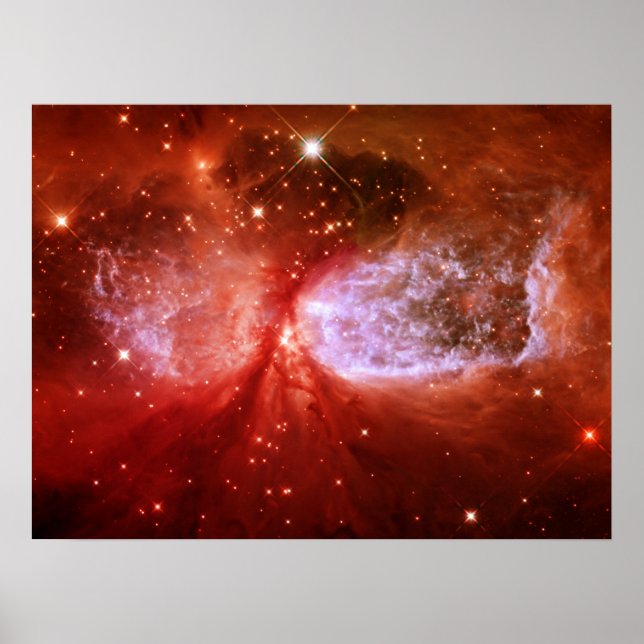 Póster Phoenix (Frente)