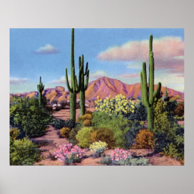 Póster Phoenix Arizona Camelback (Frente)