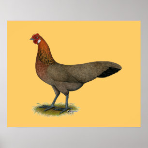 Póster Phoenix: BB Red Hen
