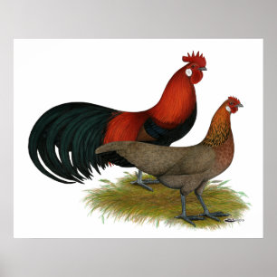 Póster Phoenix: BB Red Pair