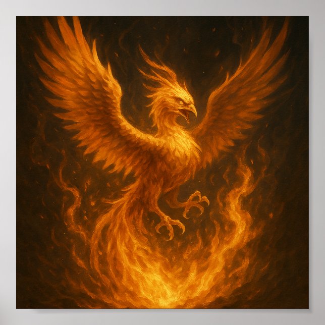 Póster Phoenix: Begin Reborn (Frente)