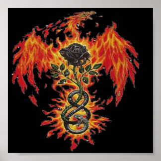 Póster Phoenix poster