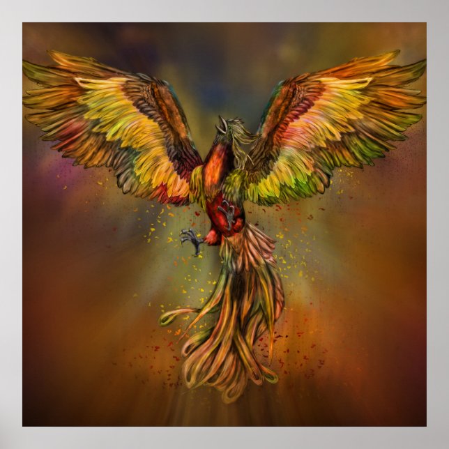 Póster Phoenix Rising (Frente)