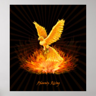 Póster Phoenix Rising