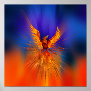 Póster Phoenix Rising